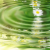 Breakthrough to Destiny BreakthroughReflection-FranFisherMCC