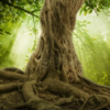 Coaching Wisdom Six ebookimage5