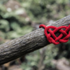 Coaching Mastery Tip 5 HeartToHeart-FranFisherCoach