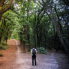 Make Empowering Choices MakeEmpoweringChoices-FranFisherCoach