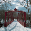 Living True To Essential Nature LifeTransition-FranFisherCoach